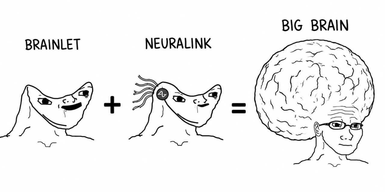 Brainlet plus Neuralink equals Big Brain